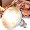 100W Reptile Heat Bulb Lamp Full Spectrum Heat Emitter Bulb for Tortoise Lizards 220‑240V