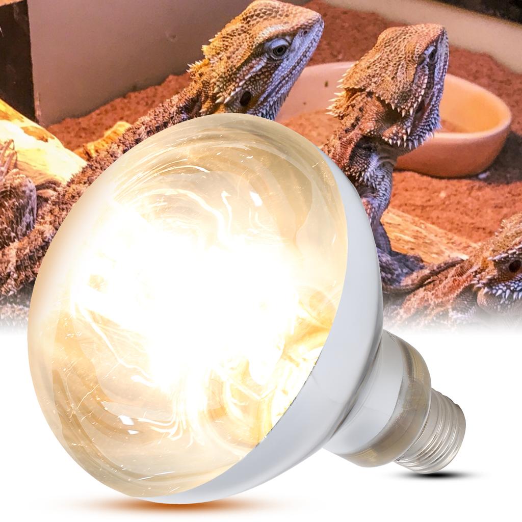 100W Reptile Heat Bulb Lamp Full Spectrum Heat Emitter Bulb for Tortoise Lizards 220‑240V