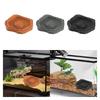Reptile Feeder Bowl Tank or Aquarium Accessory Reptile Water Bowl Food Dish for Bearded Dragon Gecko Lizard Tortoise Hermit Crab