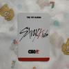 [USED] StrayKids SUKIZ SUBK GO Live Trading Card Bang Chan