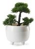 Botanica Cream Flower Pot On Legs