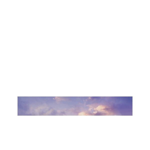 Fate/Grand Order 10th Anniversary “OVER THE SAME SKY” advertising works FGO 10th Anniversary Advertising Illustration Collection Art Book Official Goo
