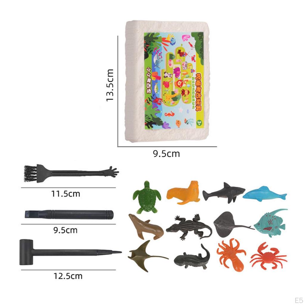 Archaeology Discovery Excavation Kits Stem Activities DIY Digging Toys for Children