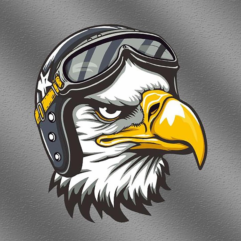 Motorcycle Stickers for Helmets, Vintage Waterproof Stickers - Vista Printed Motorcycle Decals Vintage Adult