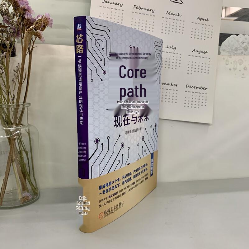 Core Mirror: Exploring the Breakthrough Path of China's Semiconductor Industry