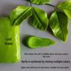 Translucent No-Bake Air-Dry Crystal Resin Clay - 100g Succulent Toy & Food Craft Clay