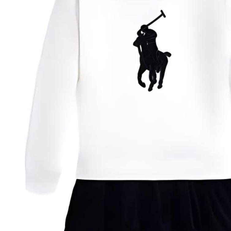 Polo Ralph Lauren Color Block Logo Long Sleeve Dress Kids Dresses White 313950935-001