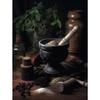 Victorian Botanical Greenhouse Wizard Library Apothecary Fantasy Haunted House Poster Wall Pictures Canvas Painting Home Decor