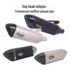 S1000RR, 800RS, Zhang Xue, Chunfeng 450SR, Wuji 660 Motorcycle Dog Head Tail Exhaust Pipe
