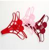 Erotic Panties Sexy Lace Transparent Panties Women Double Strap Low Waist Thong Sexy Lingerie Breathable G-string Underwear Sensual