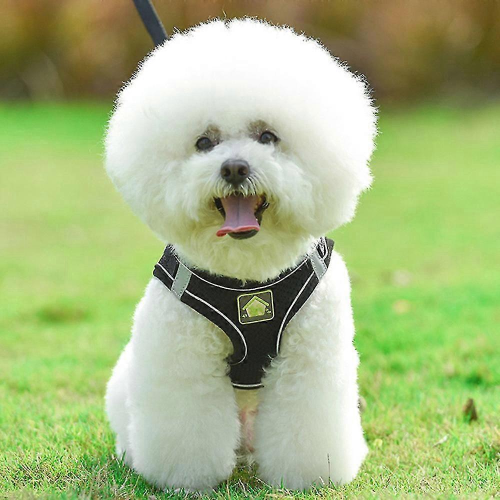 2 Pcss Dog Harness Step-in Breathable Puppy Cat Dog Vest Harnesses Ves