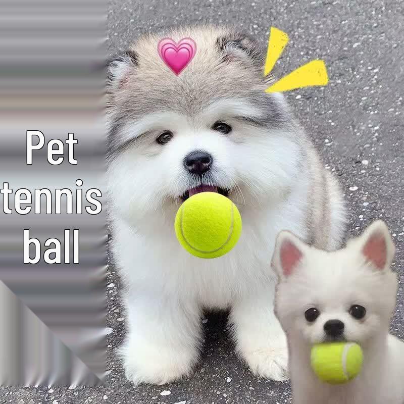 LISM Dog Chew-Resistant Training Tennis Ball