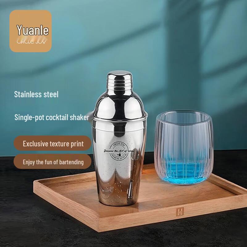 Circle Joy Stainless Steel Cocktail Shaker