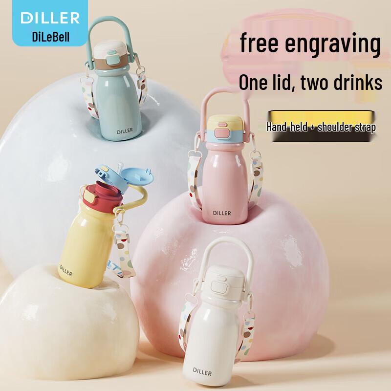 

Diller 316L Stainless Steel Insulated Dual-Drink Water Bottle