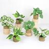 Plante Verzi Simulate Stil Nordic Decorare Living Birou Plante la Ghiveci Frunze de Guanyin Picurătoare Plante Verzi Simulate