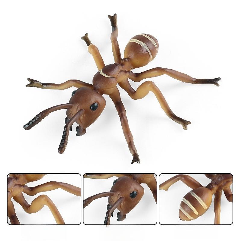Educational Animal Insect Model Pack Plastic Figures Kid Learning Schooling Home