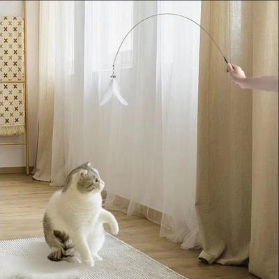 Katzen – Katzenspielzeug
