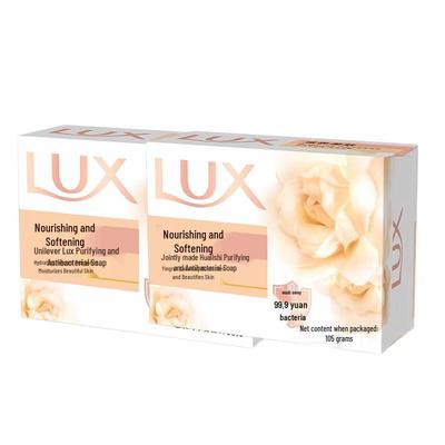 Detox & Anti-bacterial Soap Bar (2x100g)