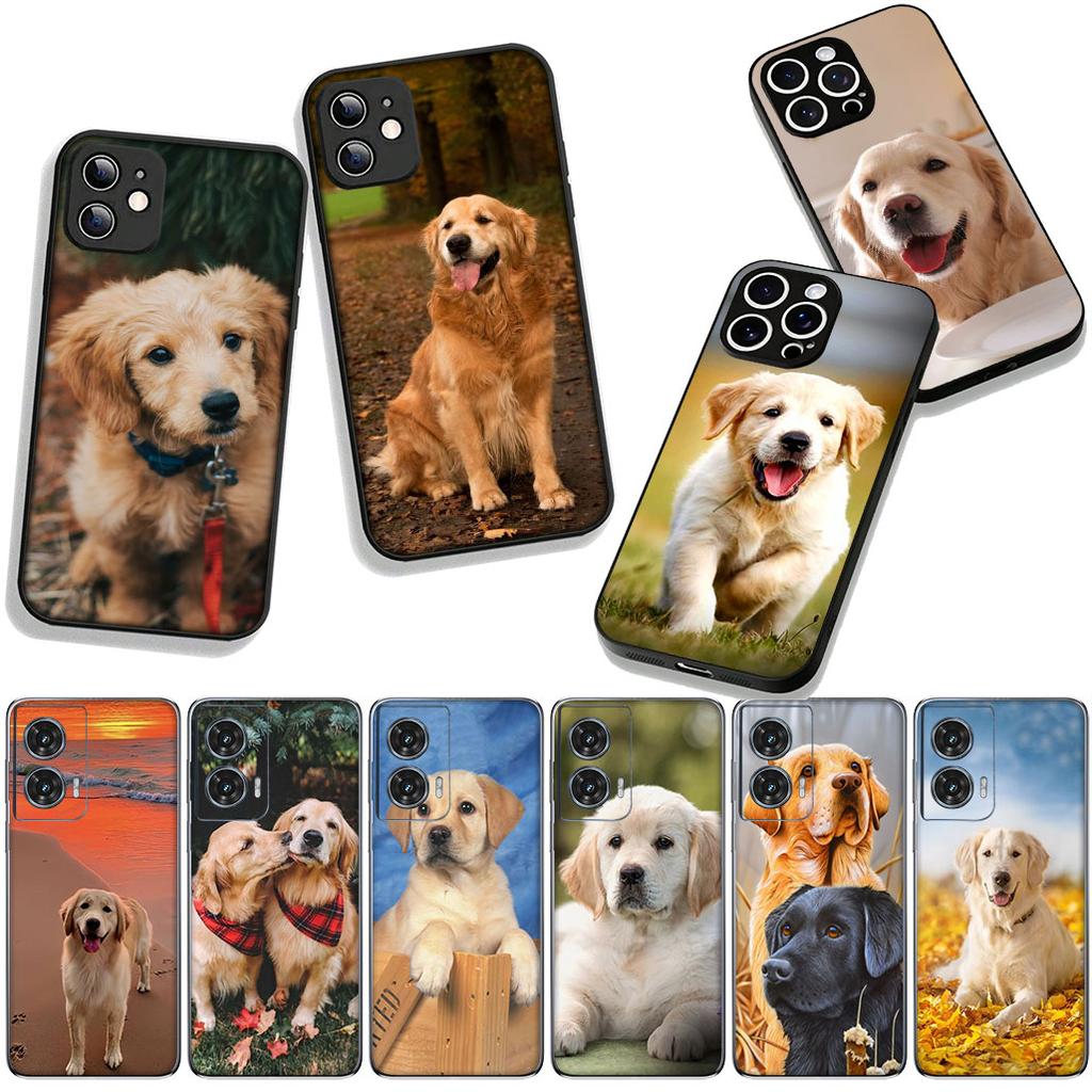 Phone Cover Cute Animal Golden Retriever Dog for Apple iPhone 17 16 11 Pro XS Max XR 6 7 8 Plus + 16E SE 2020 Air 5 8+ Case