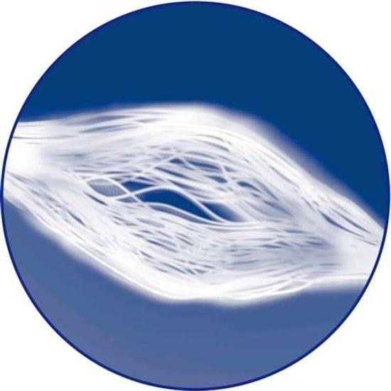 Dental Pro Fresh Floss Pick 100 pieces Soft units (x 1)