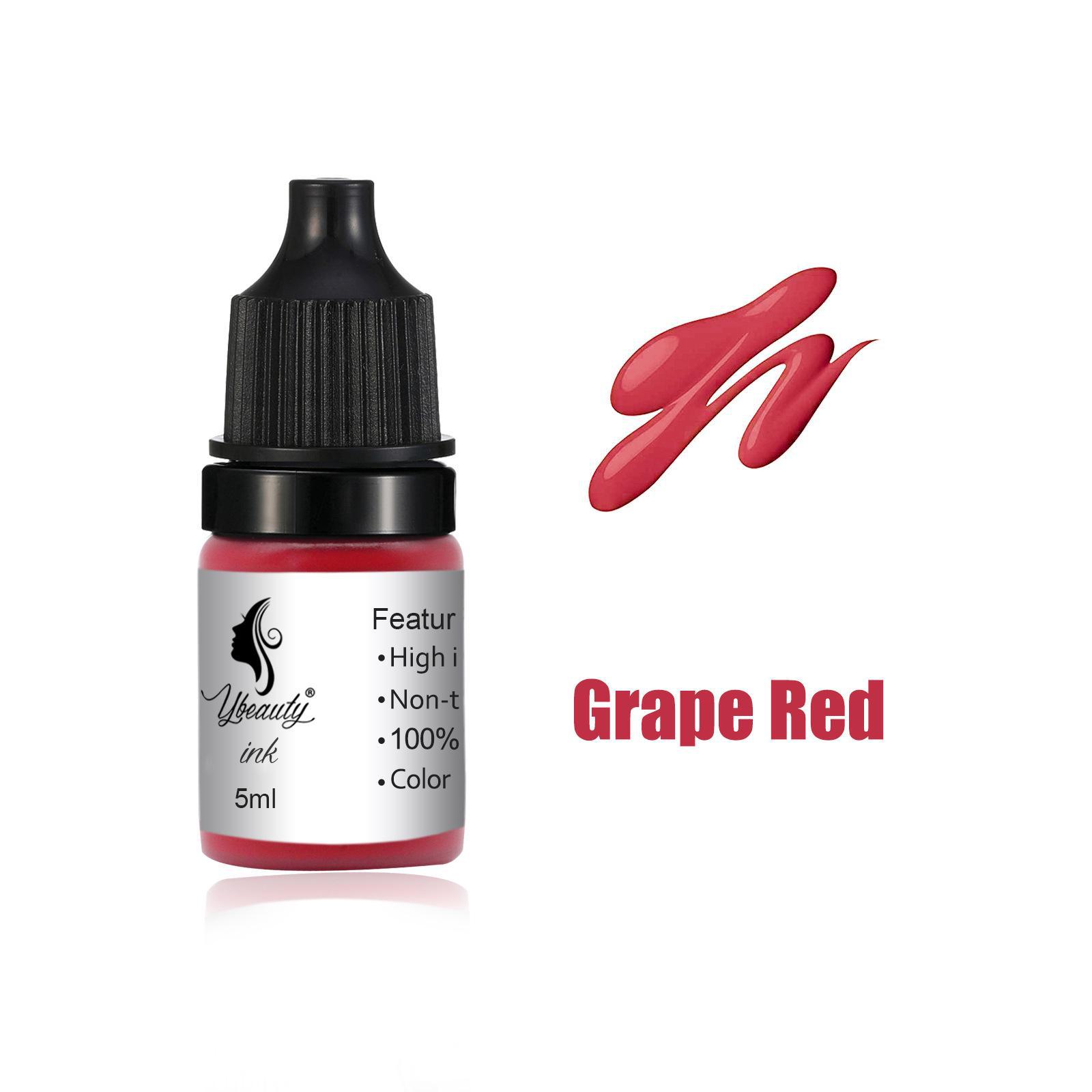 

5 мл пигмента для татуажа бровей для начинающих: Легкий в использовании спрей-пудра для отработки навыков нанесения подводки на брови, губы и глаза. ярко-красный