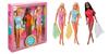 Barbie Friends Malibu Gift Set GTJ86 Pink & [Signature GLOD] [Collector's Doll]