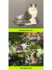 Cute Tail Cat Window Hammock: Sunbathing Bed with Suction Cups