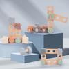 Screw Through the Rope 2-in-1 Children's Color Shape Cognitive Pairing Creative Variety Assembly Nut Building Block Combination