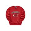 Skechers Year Of The Dragon New Year Series Letter Logo Printed Round Neck Pullover Casual Sports Knit Sweatshirt Women Sweatshirt L124W005-03LC