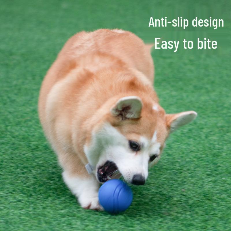 Meianju Dog Chew Ball: Durable Rubber Toy for Fetching and Biting