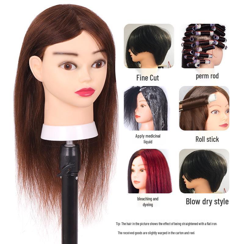 Echthaar-Schaufensterkopf für die Friseurausbildung: Präzisionsschneiden, Dauerwellen, Locken, Blondieren, Färben, Föhnen und Styling