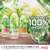 I LOHAS Mandarynka 540ml PET x 24 butelki Coca-Cola