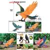 Wildlife Animal Model Solid Plastic Parrot Bird Display Figure For Kids Playroom Decor