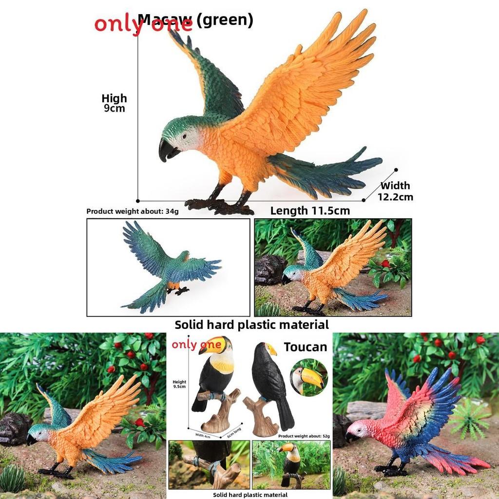 Wildlife Animal Model Solid Plastic Parrot Bird Display Figure For Kids Playroom Decor
