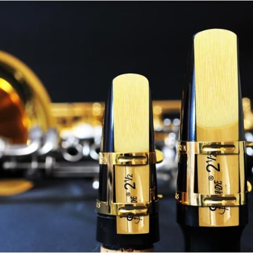 Yosoo LADE bE Saxophone Reeds, 2.5 Hardness, 2.5 2.5" Reeds, for Alto Saxophones, Replacement Bamboo Accessories, with Storage Box, Pack of 10