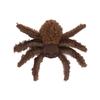 JELLYCAT Insect Series Long-legged Spider Creative Doll Plush Doll 4cm Height