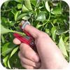 Vegetable Planer, Pruning and Gardening Tools, Scissors Separator, Vegetable and Fruit Harvesting and Picking Tools, Farm Garden