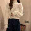 Winter Imitate Mink Wool Fleecing Female Turtleneck Elastic Casual Sweater Women Knitted Tops Pullovers Soft Warm