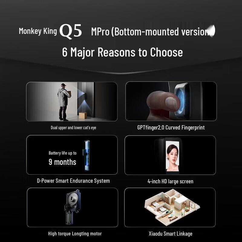 DESSMANN Dasheng Q5MPro Smart Fingerprint Door Lock with Peephole Camera