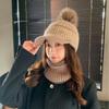 Fashion Cycling Cold Hat Knitted Wool Hat Cap Autumn and Winter Outdoor Thickened Warm Ear Protector