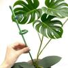 Plant Supports Stakes Green Plant Sticks Support Potted Single Vine Stem Fixing Rod Holder Reusable Plant Anti Lodging Bracket
