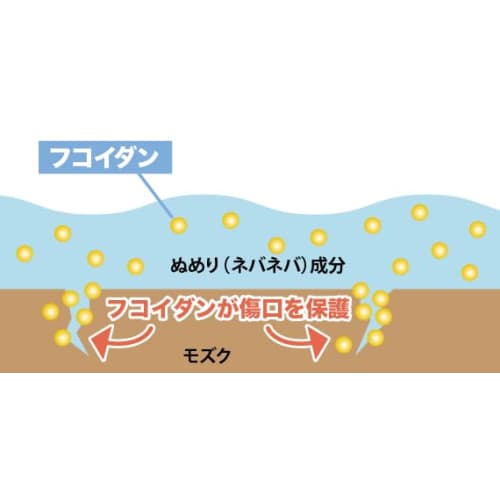 Amiu Sea Honey Fucoidan Toothpaste 100g Natural Peppermint