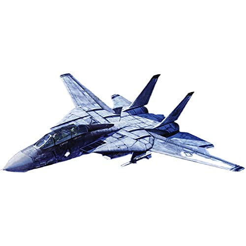 Hasegawa Macross Zero F-14 1/72 scale plastic model 65761