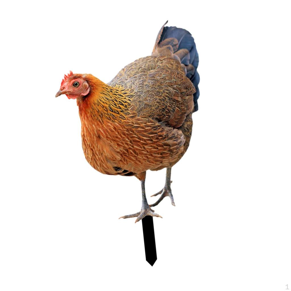 Animal Statue Stakes Realistic Chicken Sculpture Rooster Stake Garden for Lawn Yard