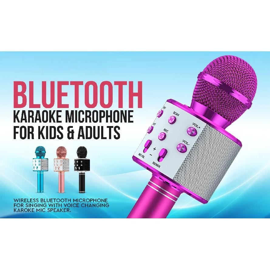 Karaoke Microphone for Kids & Adults , Echo Effect, Built-in Speaker Portable Karaoke Player for Party Travel Gifts