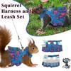 Multicolor Ferret Harness and Leash Set Floral Pattern Pet Walking Harness Chinchilla