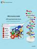 DNA Double Helix Model for Biology Education: Primary to High School Science Teaching Tool
