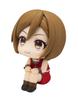 Rukappu MEIKO Completed Figure
