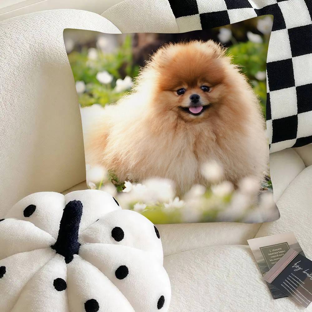 Poszewka na poduszkę dla psa rasy szpic miniaturowy Modna kwadratowa poszewka na poduszkę Sypialnia Sofa Pokój Dekoracja Ins Wypoczynek