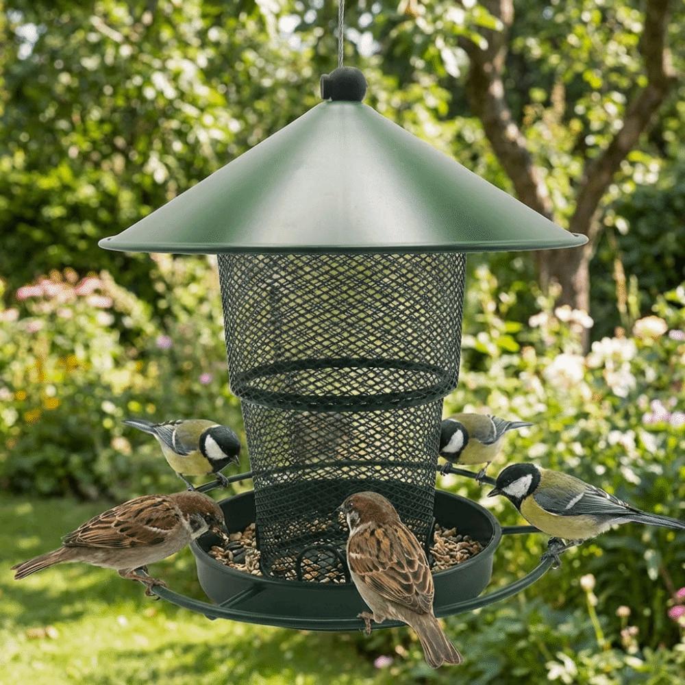 Retractable Automatic Bird Feeder Iron Hummingbird Feeder Bird Food Container  Various Pet Birds